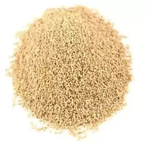 KHASH KHAAS 100G
