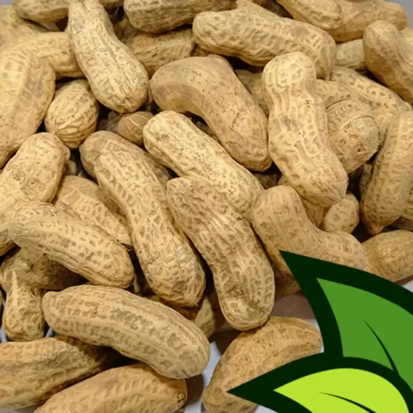 PARACHINAR PEANUTS 200G