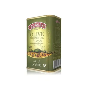 BORGES OLIVE POMACE OIL 100ML