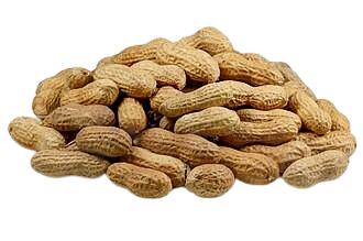 AL-WARDAH PARA CHNAR 200GM