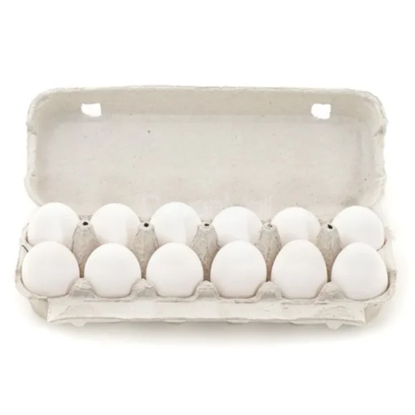 EGGS 1 DOZEN