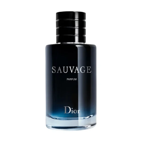 SAVAGE PERFUME 100ML