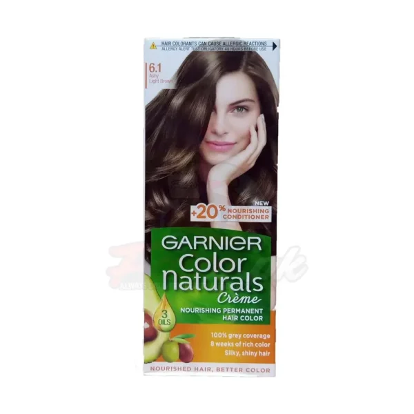 GARNIER COLOR NATURALS ASH LIGHTY BROWN (NO.6.1)